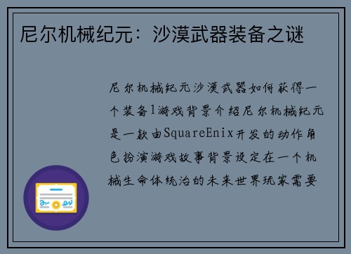 尼尔机械纪元：沙漠武器装备之谜